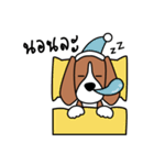 Cooper The Beagle Dog TH（個別スタンプ：40）