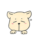 いぬねこまる（個別スタンプ：16）