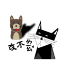 Cheap cat and Silly Dog（個別スタンプ：12）