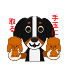 まろいぬ＆もじゃ犬のことわざ・慣用句②（個別スタンプ：12）