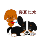 まろいぬ＆もじゃ犬のことわざ・慣用句②（個別スタンプ：23）
