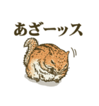 リスッス（個別スタンプ：4）