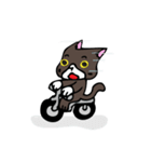 PolarBear＆BlackCat（個別スタンプ：6）
