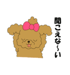 トイプードルぷーぷぷ2（個別スタンプ：1）
