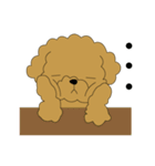 トイプードルぷーぷぷ2（個別スタンプ：5）