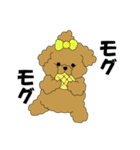 トイプードルぷーぷぷ2（個別スタンプ：8）