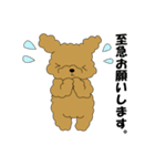 トイプードルぷーぷぷ2（個別スタンプ：11）