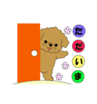 トイプードルぷーぷぷ2（個別スタンプ：12）