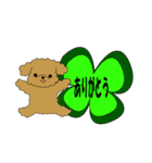 トイプードルぷーぷぷ2（個別スタンプ：27）
