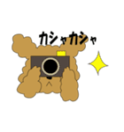トイプードルぷーぷぷ2（個別スタンプ：30）