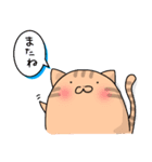 忙しいネコ（個別スタンプ：40）