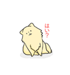 2ポメ返事用スタンプ（個別スタンプ：3）