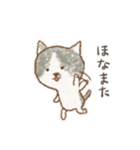 ウチのハチワレねこ（個別スタンプ：25）