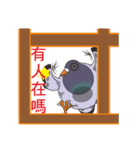 Messenger pigeon manure（個別スタンプ：15）