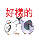 Messenger pigeon manure（個別スタンプ：28）