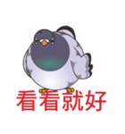 Messenger pigeon manure（個別スタンプ：34）