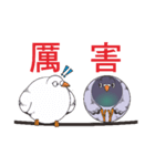 Messenger pigeon manure（個別スタンプ：37）