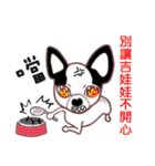 Dr.Feng and his daughter ChiHuaHua Bibi（個別スタンプ：24）