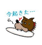 犬種→サーファー（個別スタンプ：25）