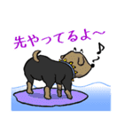 犬種→サーファー（個別スタンプ：26）