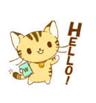 Wキャット（個別スタンプ：1）