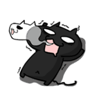 Talkative fat cat-daily life（個別スタンプ：19）