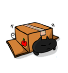 Talkative fat cat-daily life（個別スタンプ：29）