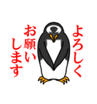 ペンギンスタンプ(ジェンツーペンギン2)（個別スタンプ：1）