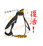 ペンギンスタンプ(ジェンツーペンギン2)（個別スタンプ：17）