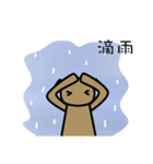 Teddy's weather report（個別スタンプ：12）