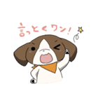 聴導犬スタンプ2（個別スタンプ：10）