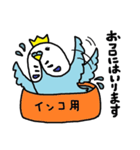 インコ王（個別スタンプ：38）