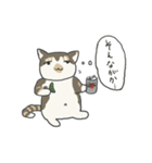 富山弁をちょいちょい話す猫たち（個別スタンプ：1）