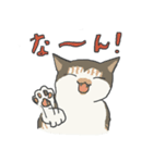 富山弁をちょいちょい話す猫たち（個別スタンプ：39）