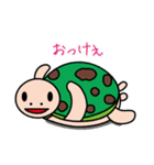 かめすん（個別スタンプ：1）