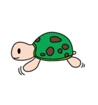 かめすん（個別スタンプ：25）