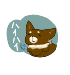 ココアパラダイス（個別スタンプ：5）
