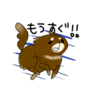 ココアパラダイス（個別スタンプ：17）