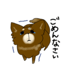 ココアパラダイス（個別スタンプ：21）