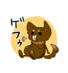 ココアパラダイス（個別スタンプ：38）