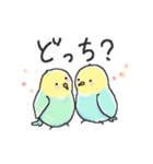 ワンにゃんインコで ご招待しましょ（個別スタンプ：30）