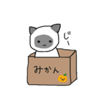 にゃんここ（個別スタンプ：19）