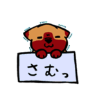 箱入りわんこ（個別スタンプ：11）
