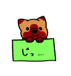 箱入りわんこ（個別スタンプ：12）