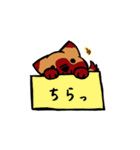箱入りわんこ（個別スタンプ：20）