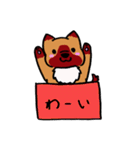 箱入りわんこ（個別スタンプ：40）