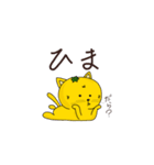 猫のみかんちゃん（個別スタンプ：31）