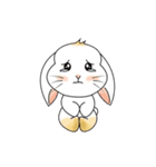 Carol's rabbits（個別スタンプ：10）