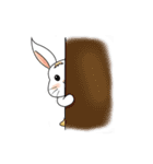 Carol's rabbits（個別スタンプ：13）