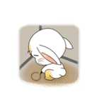 Carol's rabbits（個別スタンプ：15）